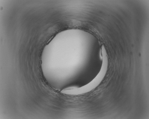 X0000062911153200602101825