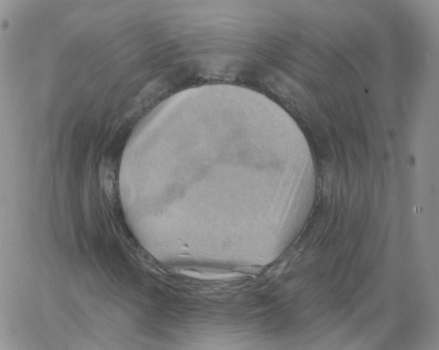 X0000062911154200602101825