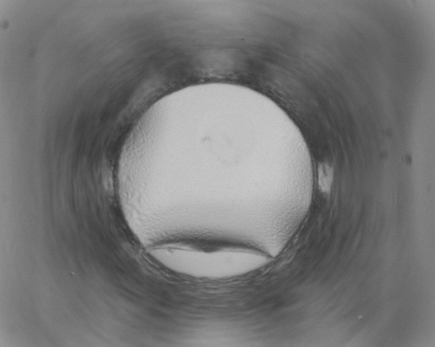 X0000062911155200602101825