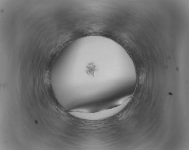 X0000062911156200602101825