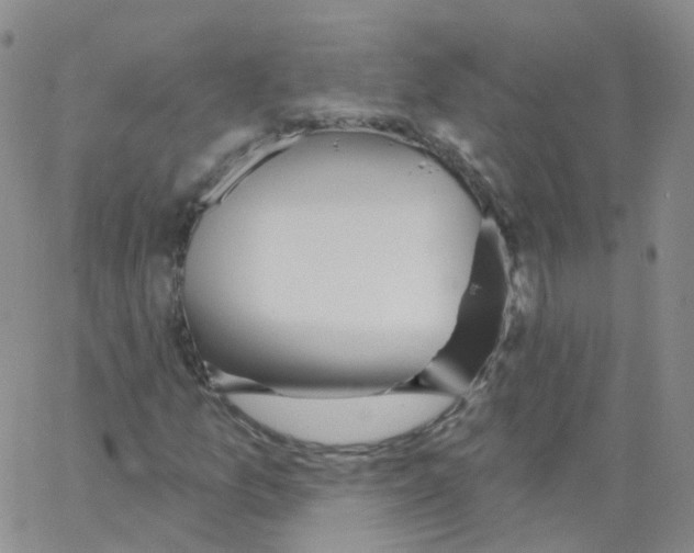 X0000062911157200602101825