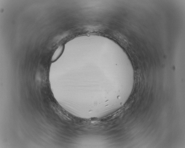 X0000062911158200602101825