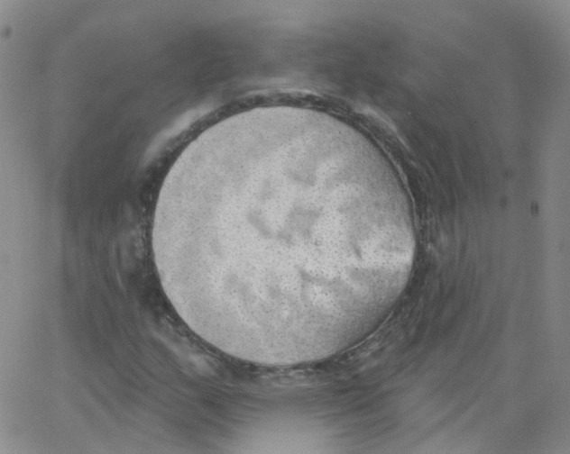 X0000062911159200602101825