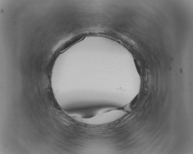 X0000062911160200602101825