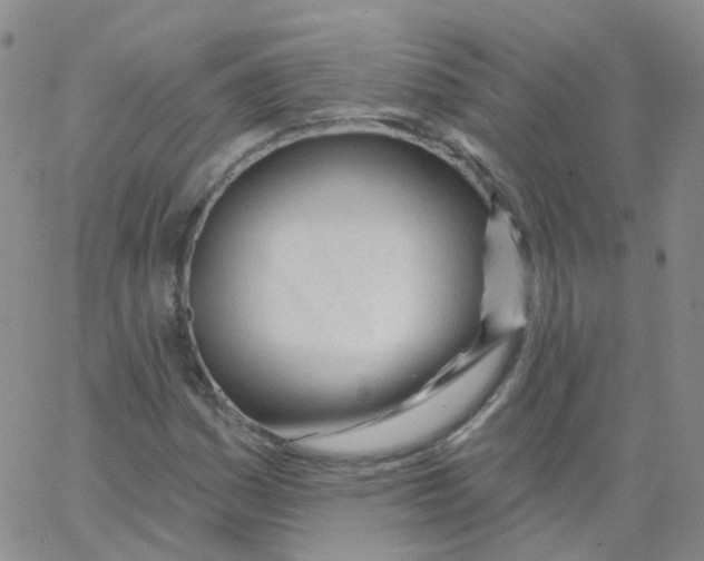 X0000062911161200602101825