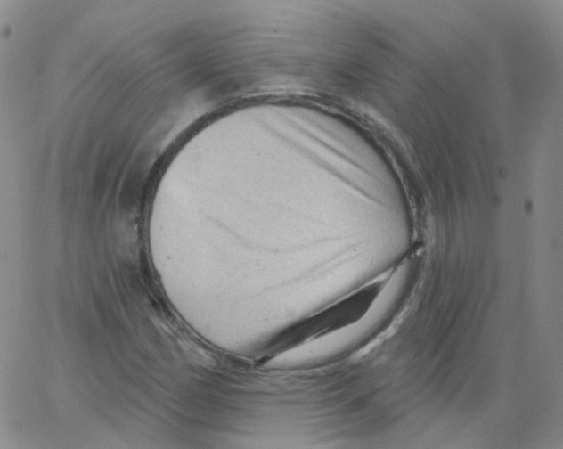 X0000062911162200602101825