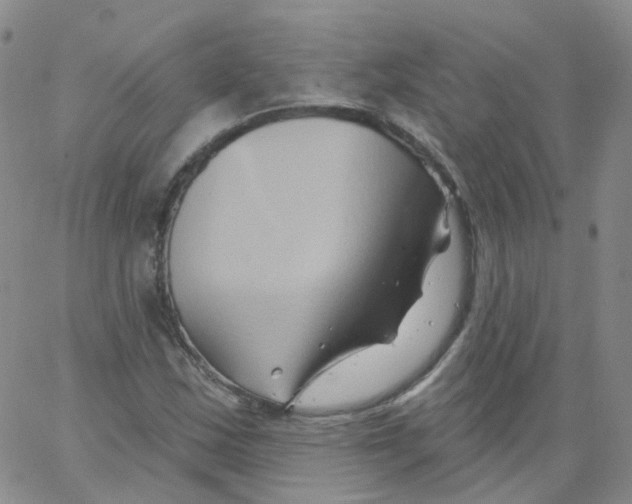 X0000062911163200602101825