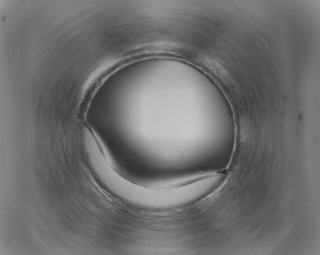 X0000062911164200602101825