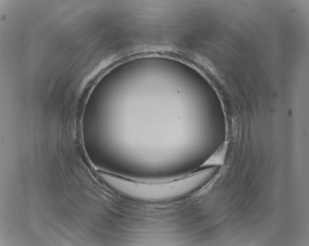 X0000062911165200602101825