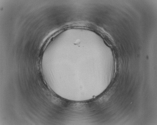 X0000062911166200602101825