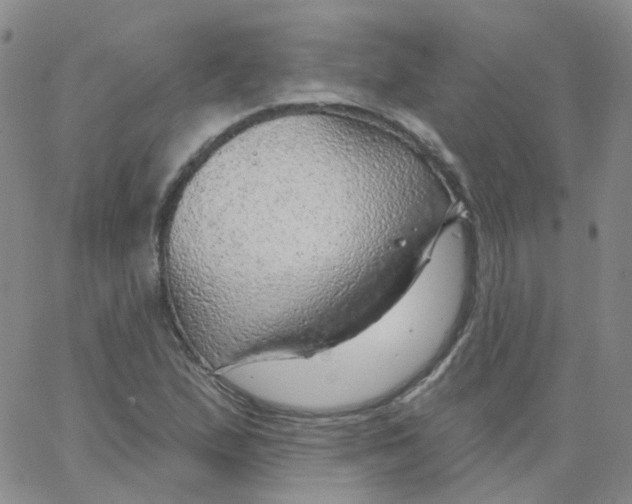 X0000062911167200602101825