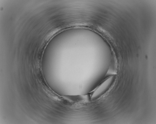 X0000062911169200602101825