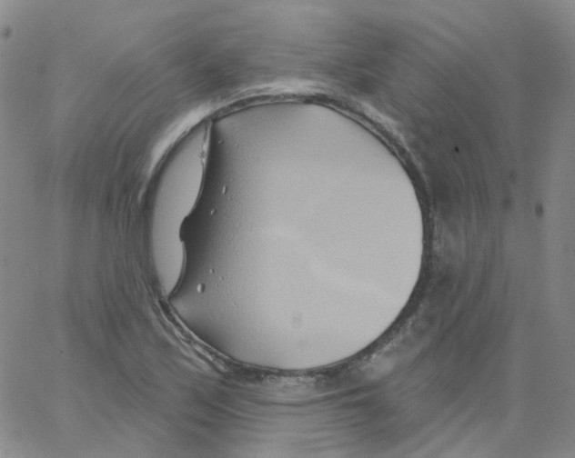 X0000062911171200602101824