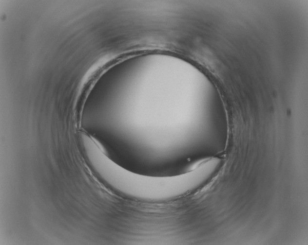 X0000062911172200602101824