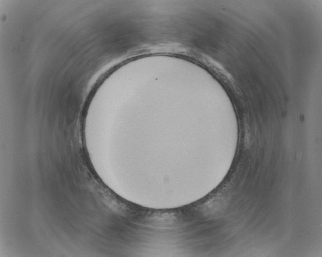 X0000062911174200602101824