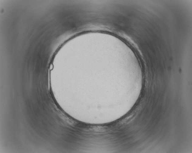 X0000062911175200602101824