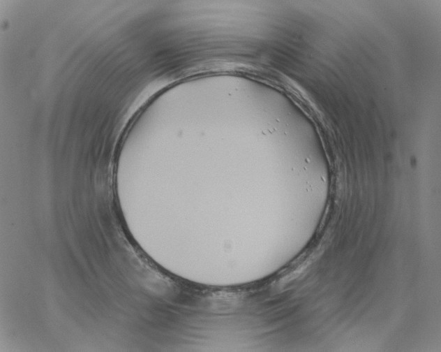 X0000062911178200602101824