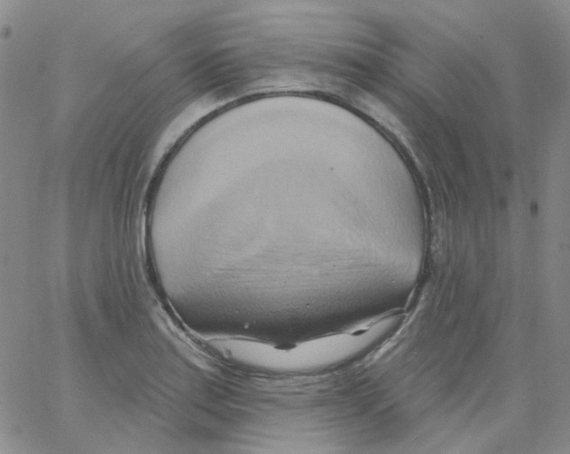 X0000062911179200602101824