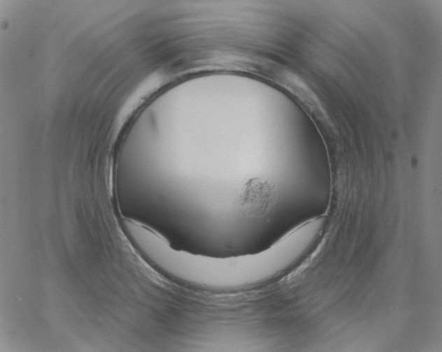 X0000062911180200602101824