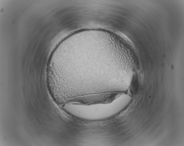 X0000062911183200602101824