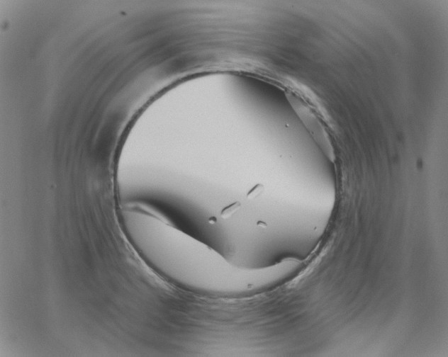 X0000062911184200602101824