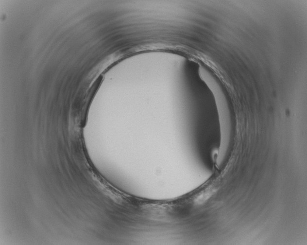 X0000062911185200602101824