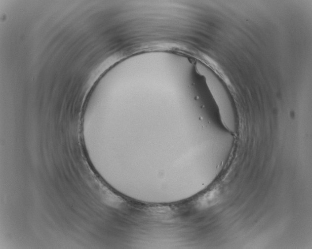 X0000062911186200602101824