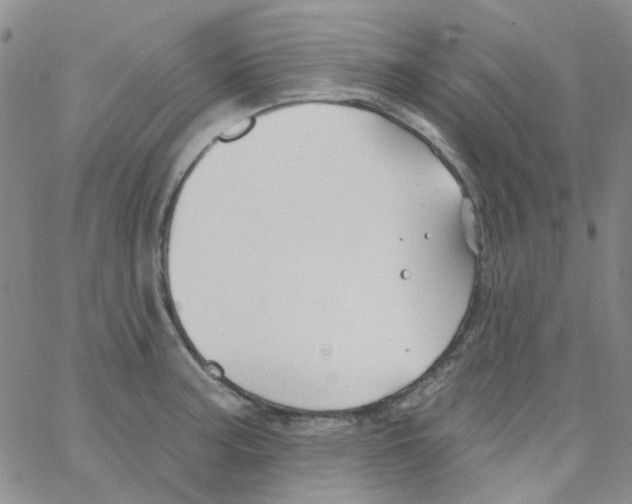 X0000062911187200602101824