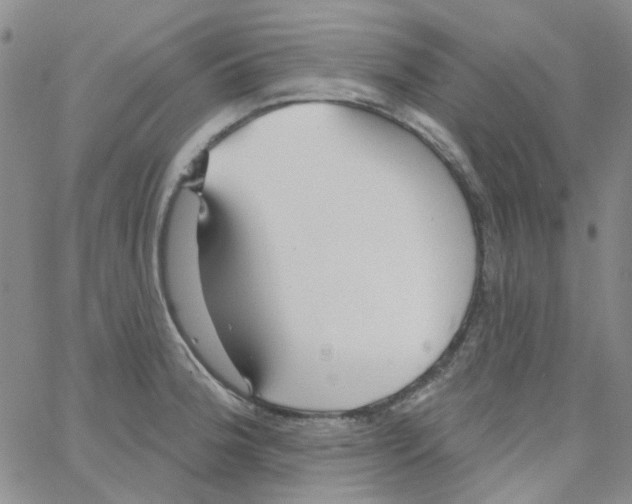 X0000062911188200602101824