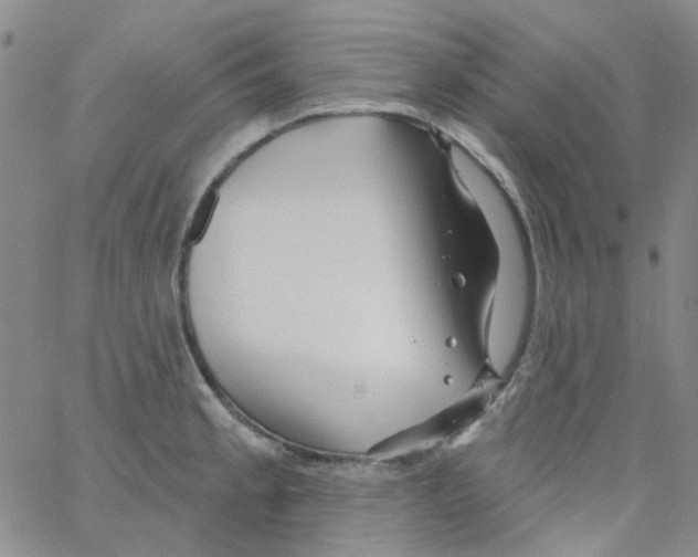 X0000062911189200602101824