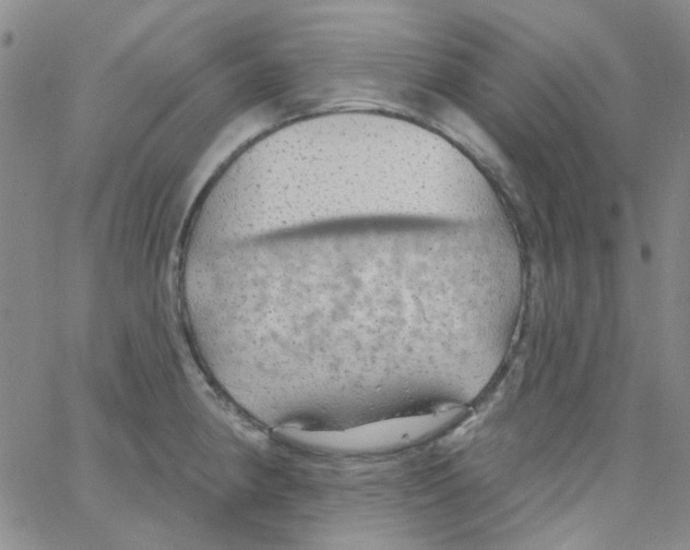 X0000062911190200602101824