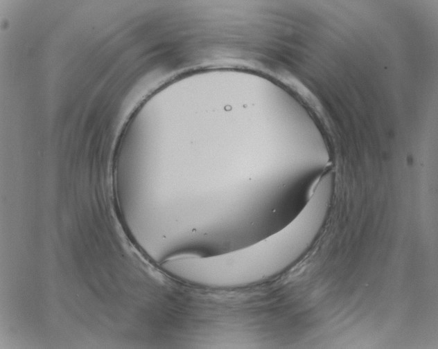 X0000062911191200602101824