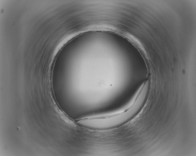 X0000062911192200602101824