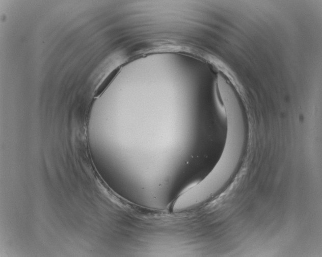 X0000062911193200602101824