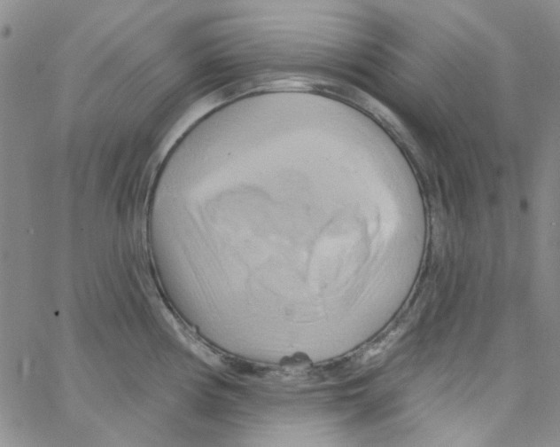 X0000062911194200602101824