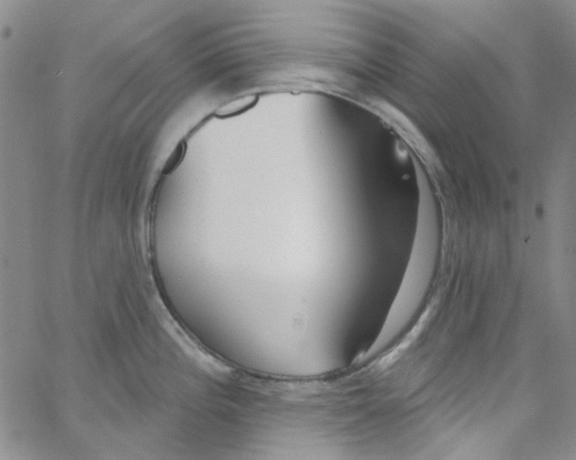 X0000062911196200602101824