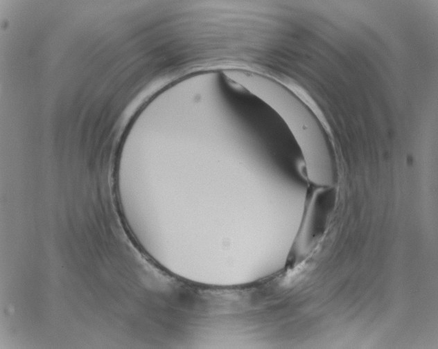 X0000062911197200602101824