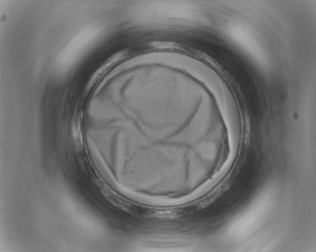 X0000062911198200602101824