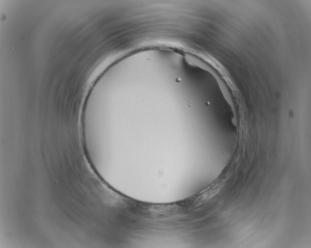 X0000062911199200602101824