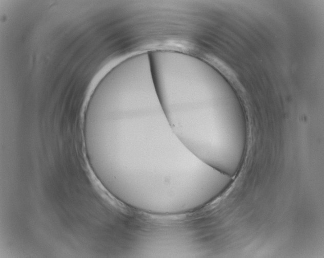 X0000062911200200602101824