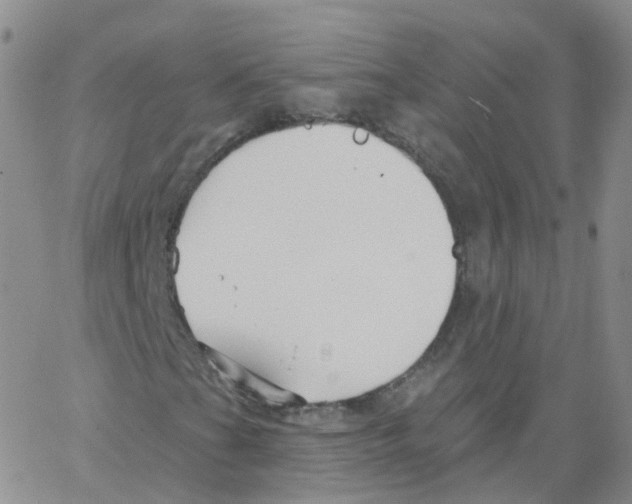 X0000062911201200602101823