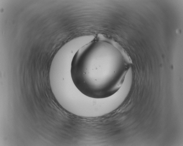 X0000062911202200602101823