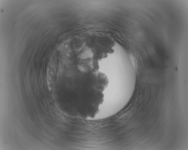 X0000062911203200602101823