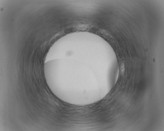 X0000062911204200602101823