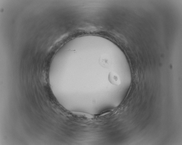 X0000062911205200602101823