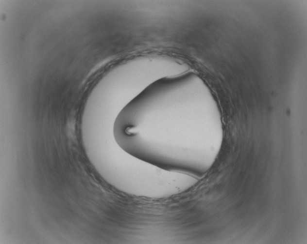 X0000062911206200602101823