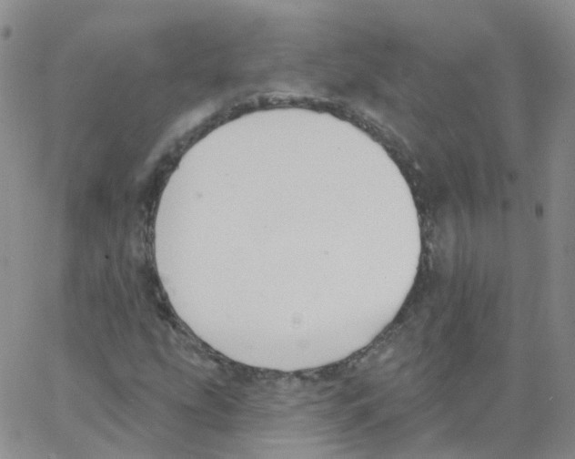 X0000062911207200602101823