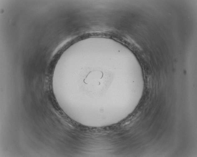 X0000062911208200602101823