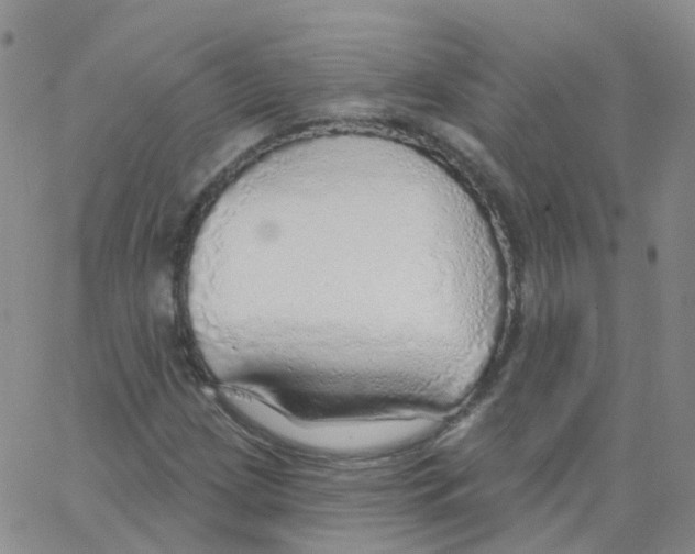 X0000062911209200602101823