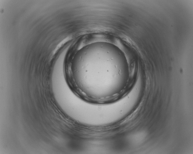 X0000062911210200602101823